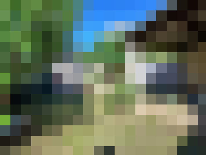  / #6