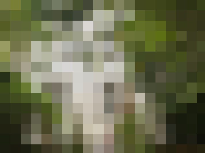  / #16