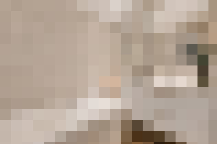  / #21