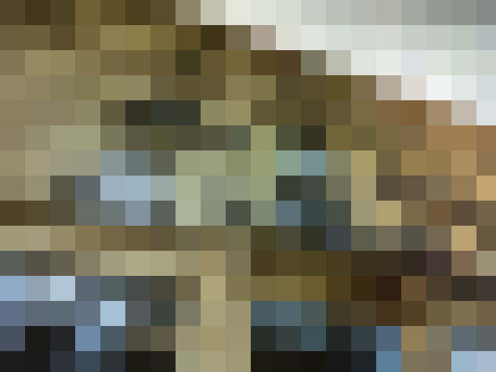  / #15