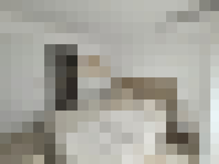  / #11