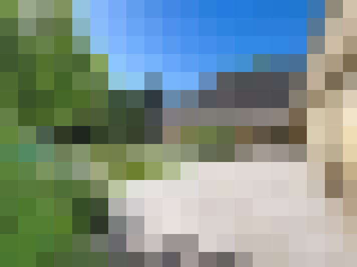  / #6