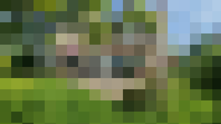  / #15