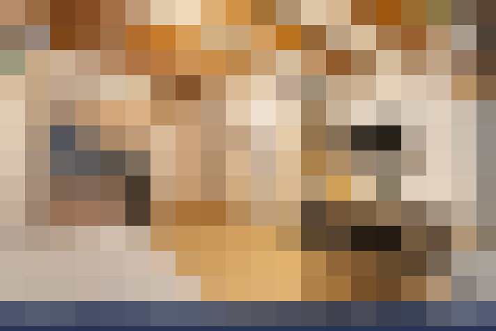  / #14