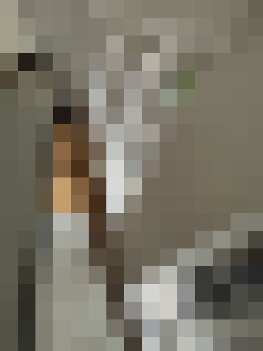  / #13