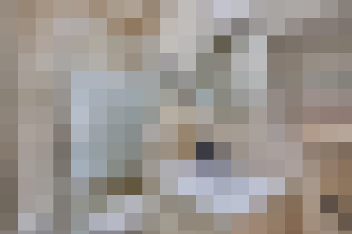  / #20