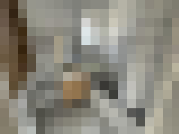  / #15