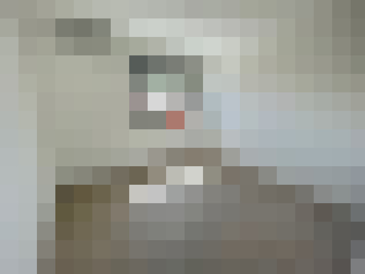  / #8
