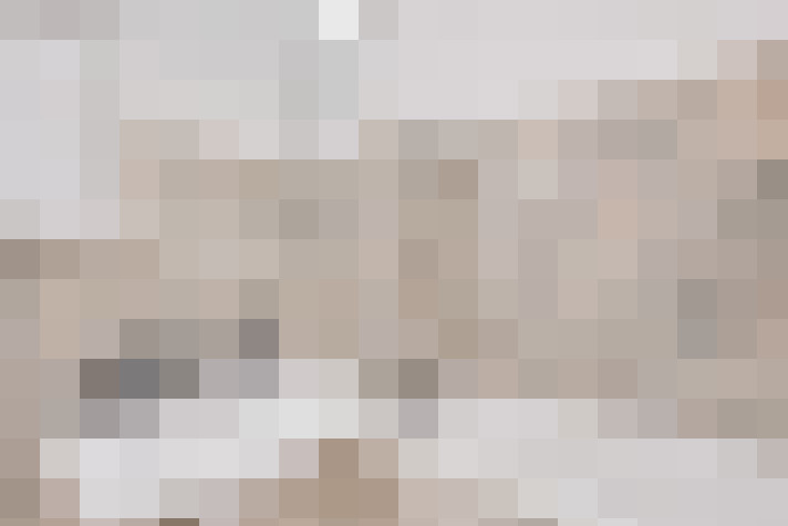  / #24