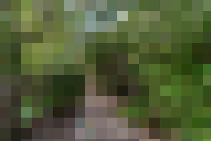  / #16