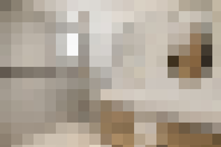  / #16