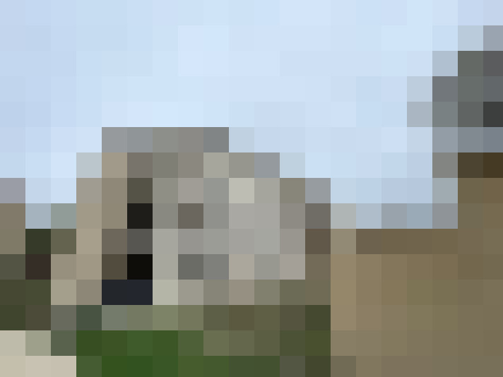  / #11
