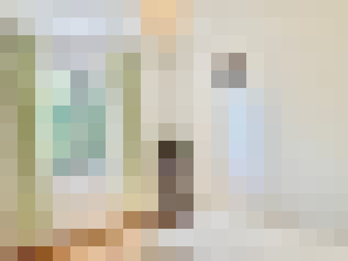  / #13