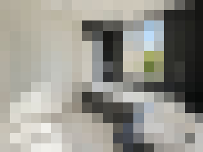 / #13