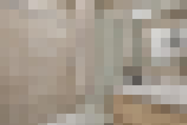  / #21