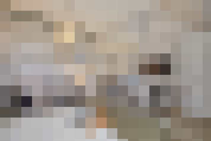  / #17