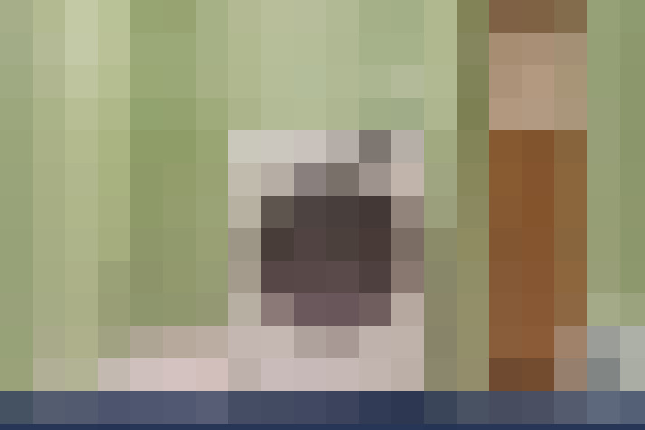  / #14
