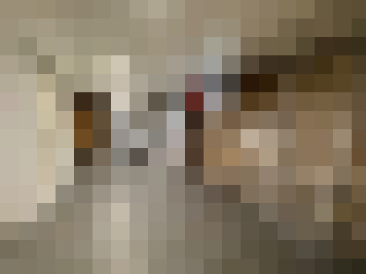  / #14