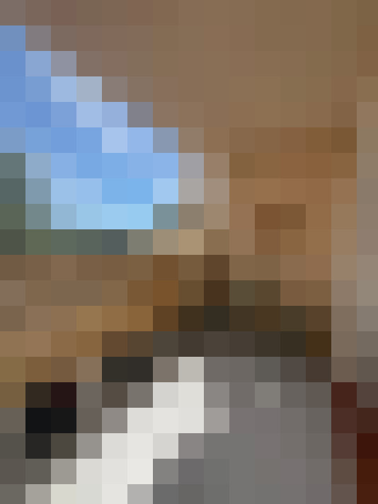  / #14