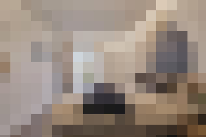  / #22