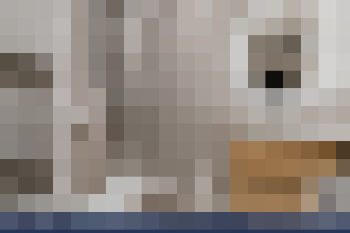  / #16