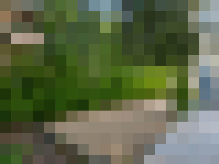  / #18