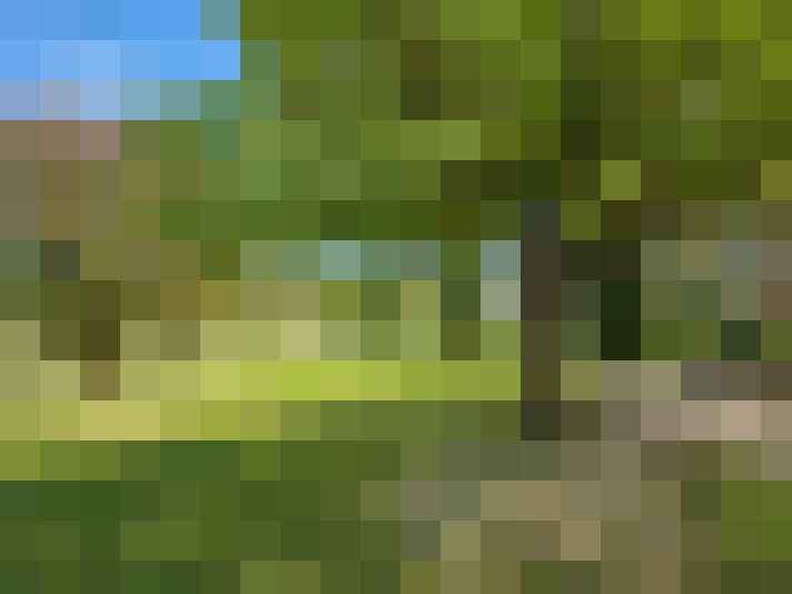  / #17