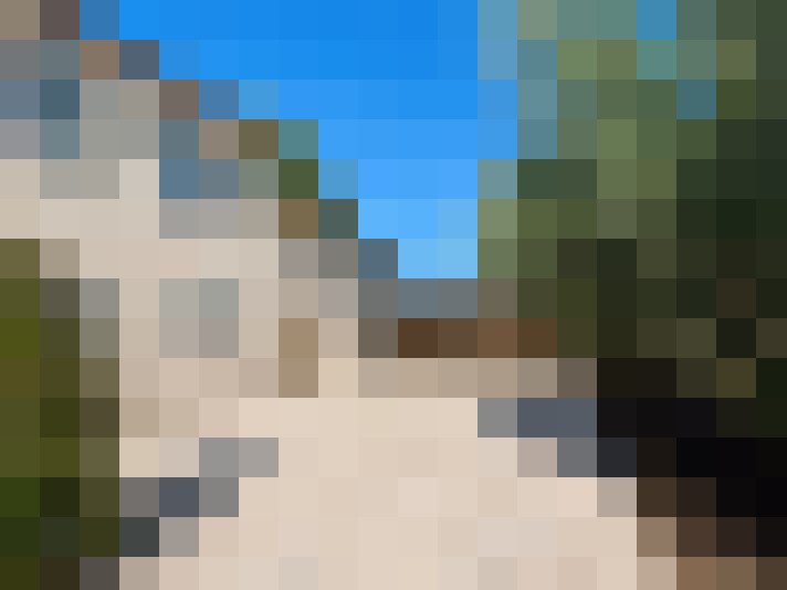  / #15