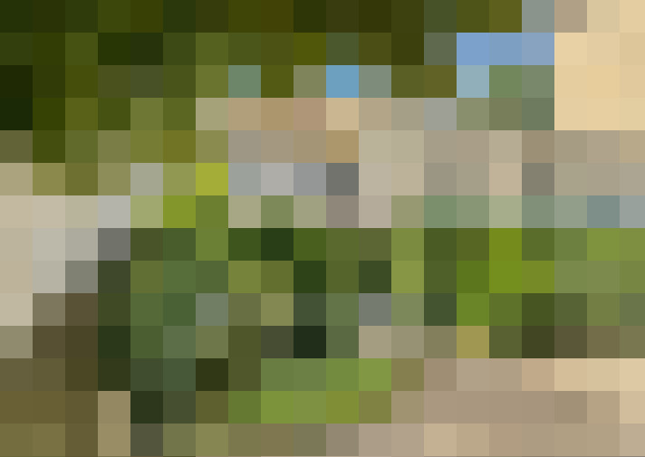  / #18