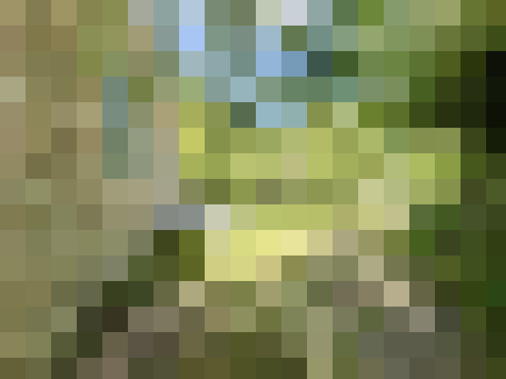  / #8