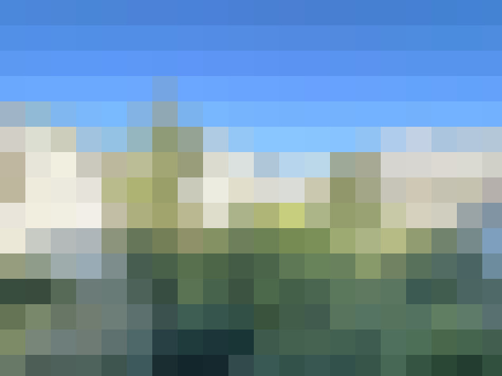  / #5