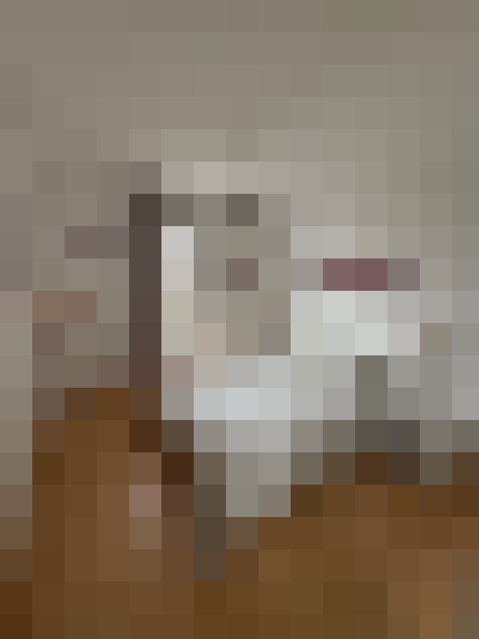  / #12