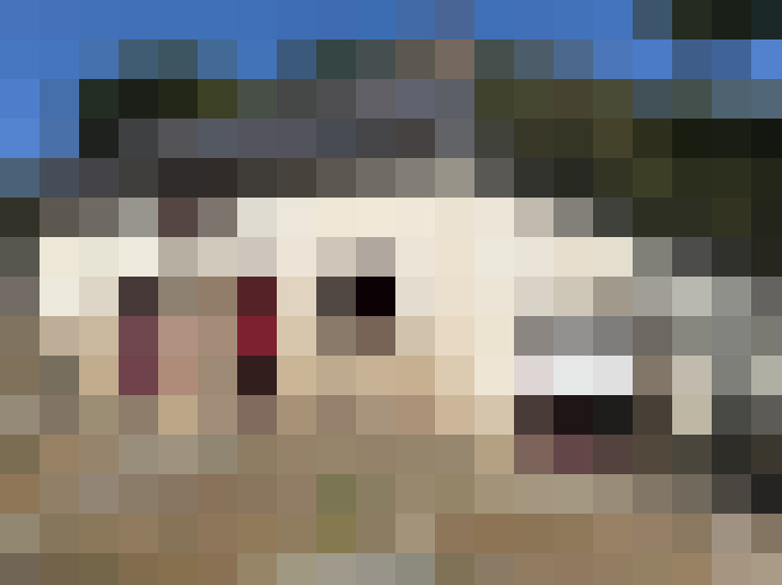  / #7
