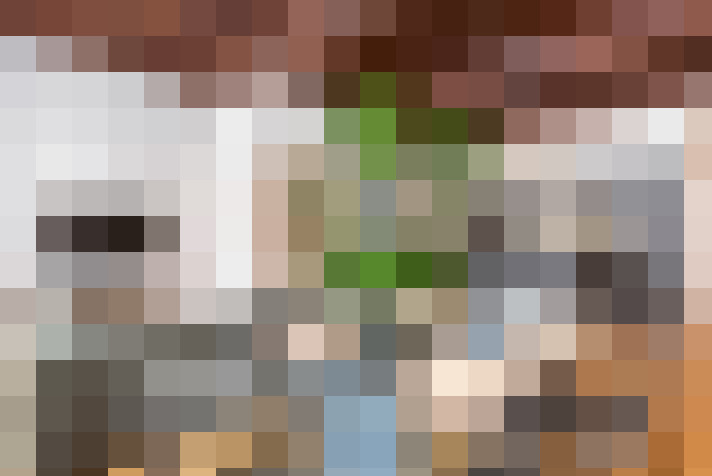  / #8