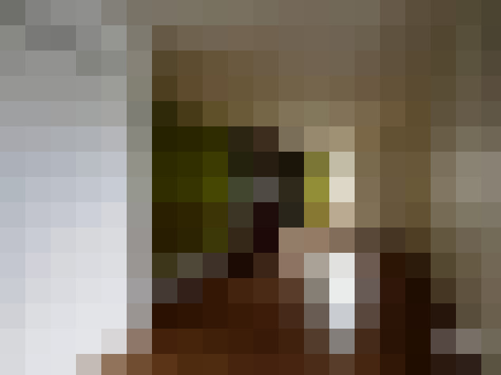  / #16