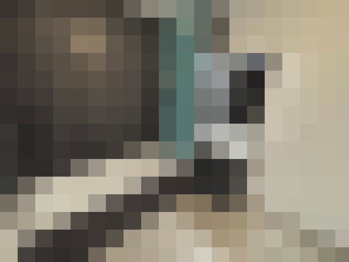  / #7
