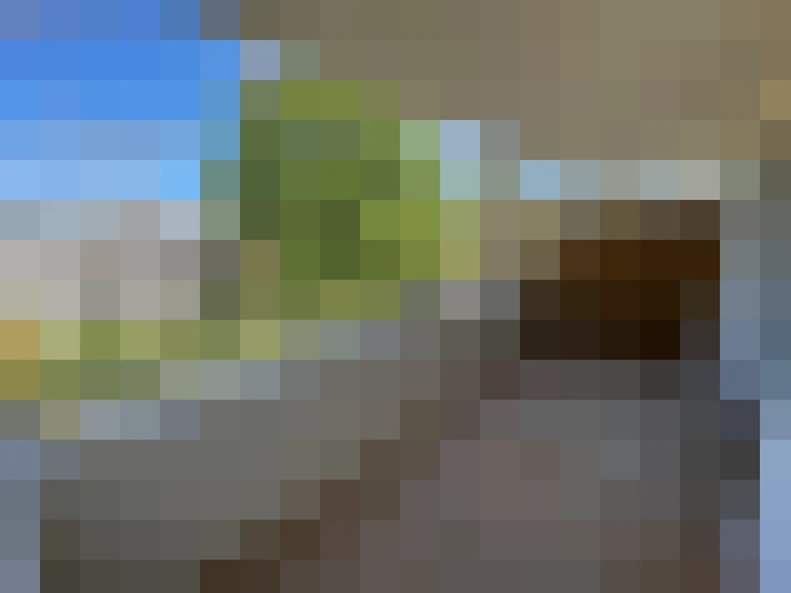  / #12