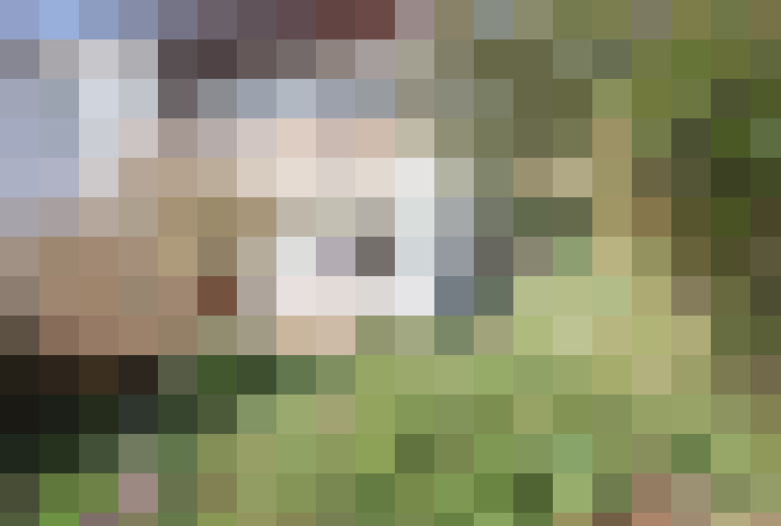  / #18