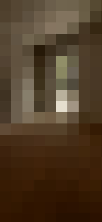  / #15