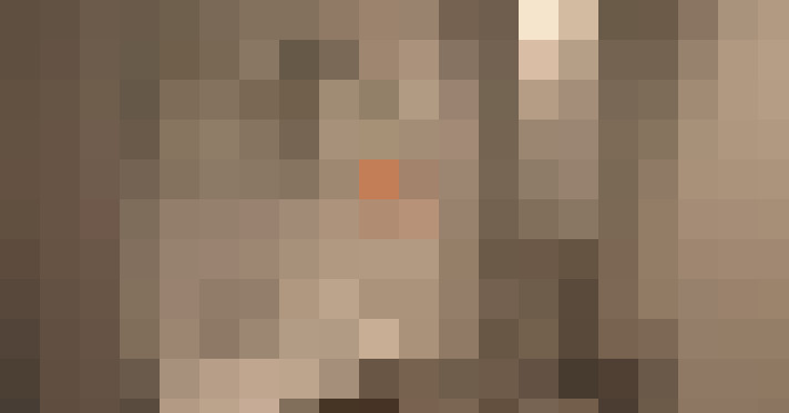  / #6