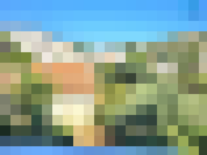  / #7