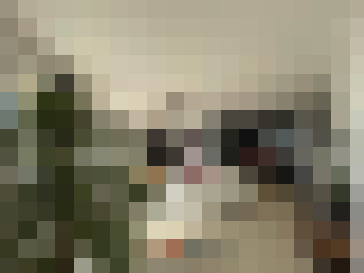  / #7