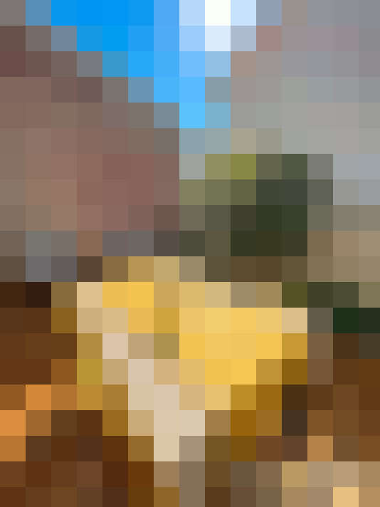  / #18