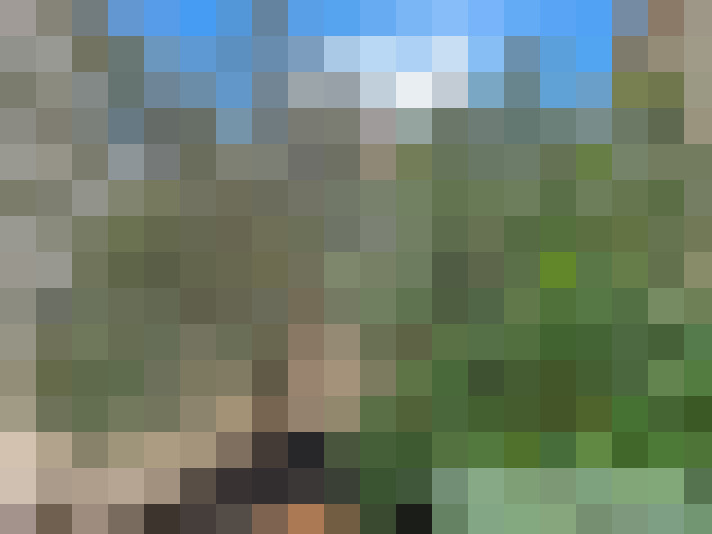  / #17