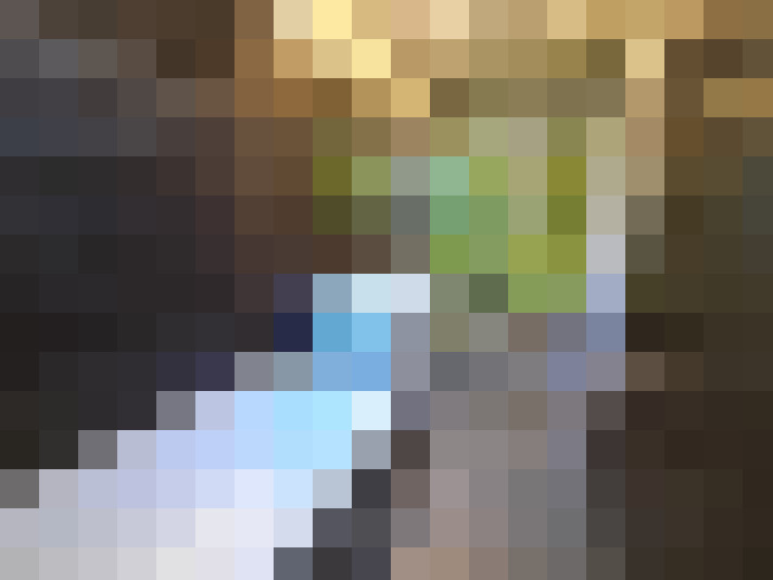  / #13