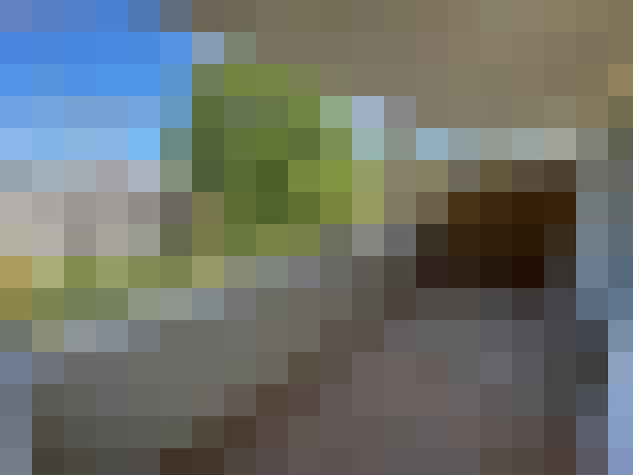 / #12