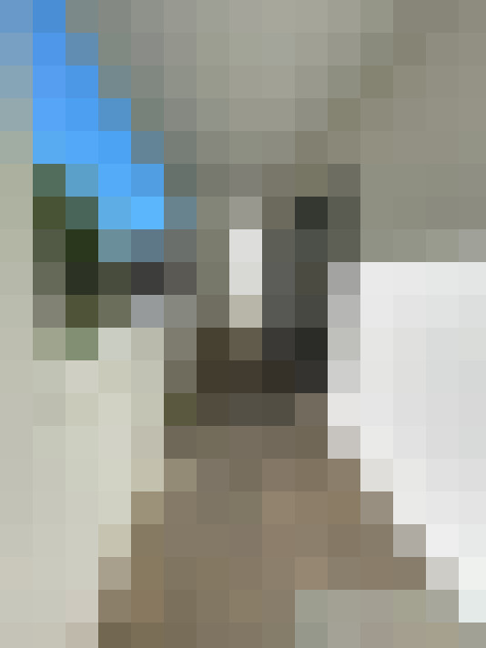  / #11