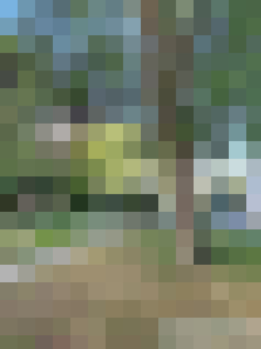  / #14