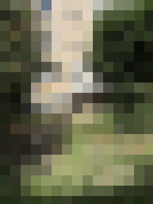  / #18
