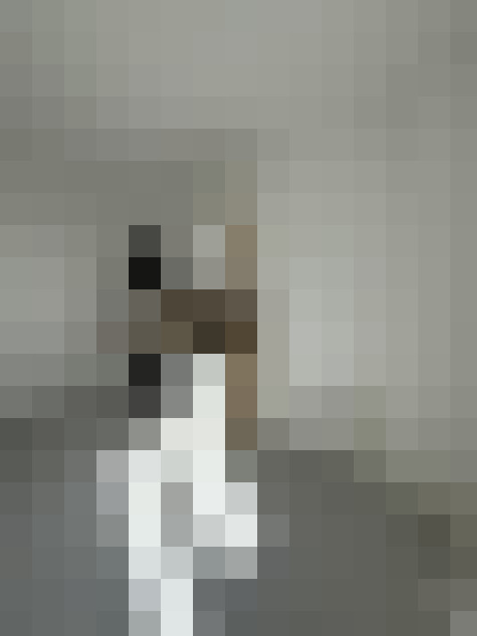 / #12